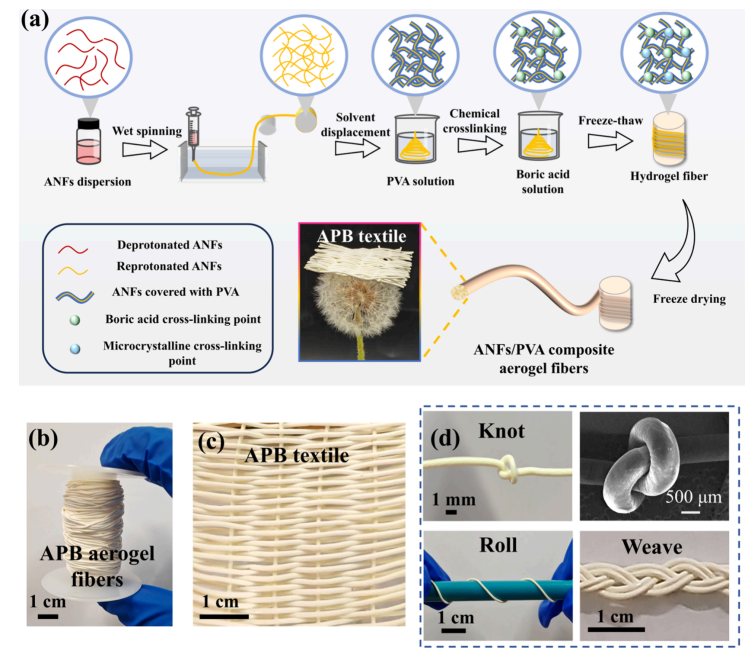 大连工业大学张森教授&郭静教授：高强度高隔热芳纶/聚乙烯醇复合气凝胶纤维